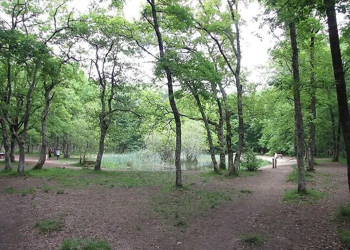 Apartment 80m2 6 Couchages *